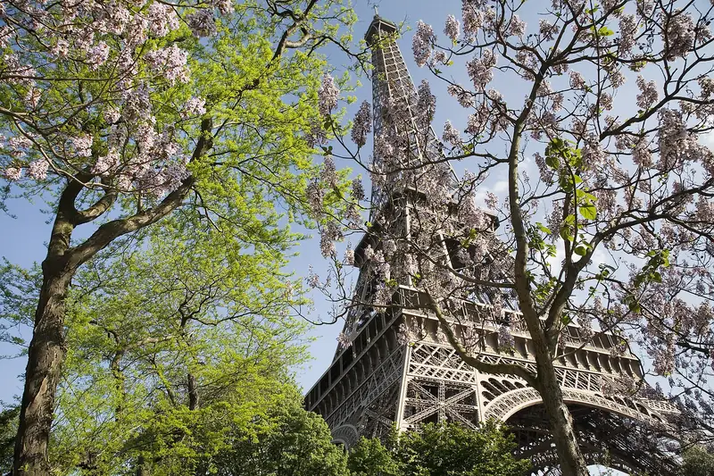 The Eiffel Tower in spring